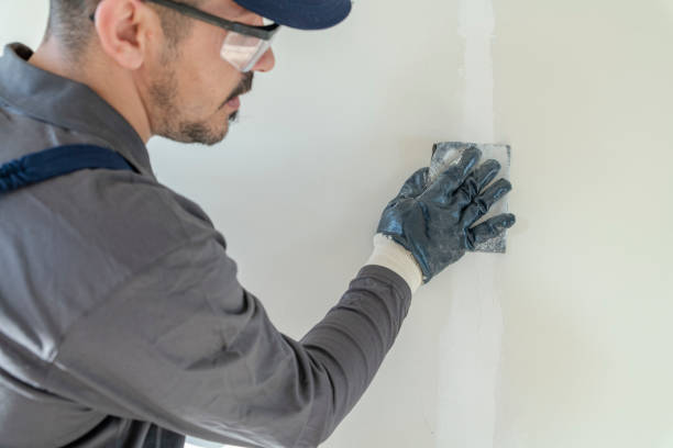 Best Drywall Removal and Disposal  in USA